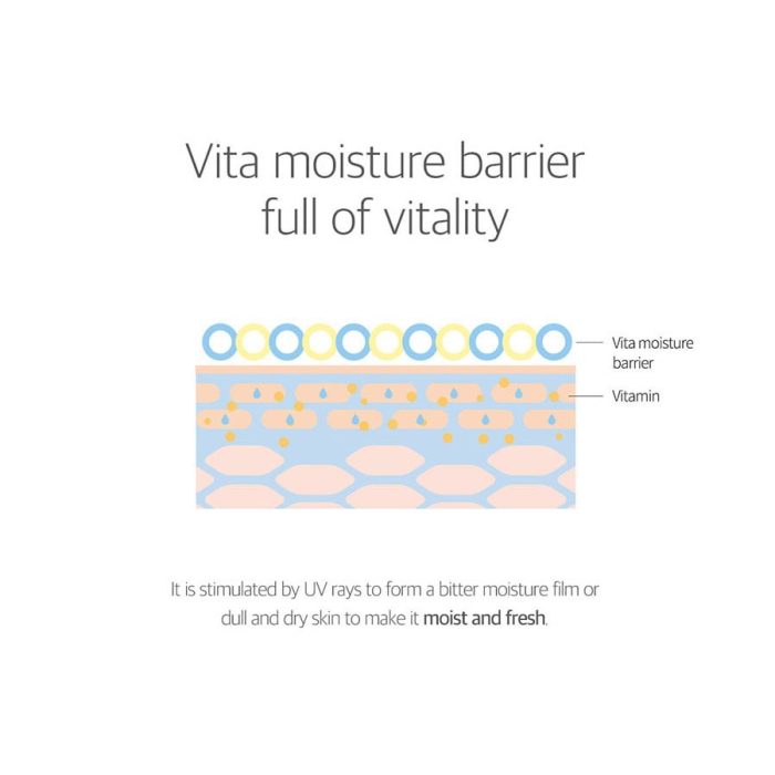 Birch Juice Moisturizing Sun Cream SPF50+ PA++++ 7