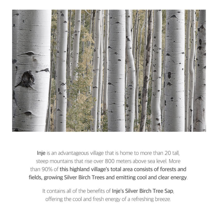 Round Lab - Birch Juice Moisturizing 3