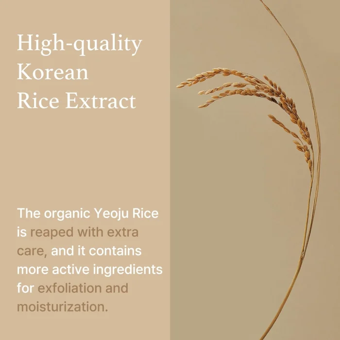 I'm From Rice Mask 4