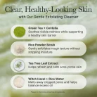 Arencia-Fresh-Green-Rice-Mochi-Cleanser-5.webp