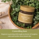 Im-from-Mugwort-Mask-4.webp