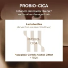 SKIN-1004-Madagascar-Centella-Probio-Cica-Intensive-Ampoule-5.webp