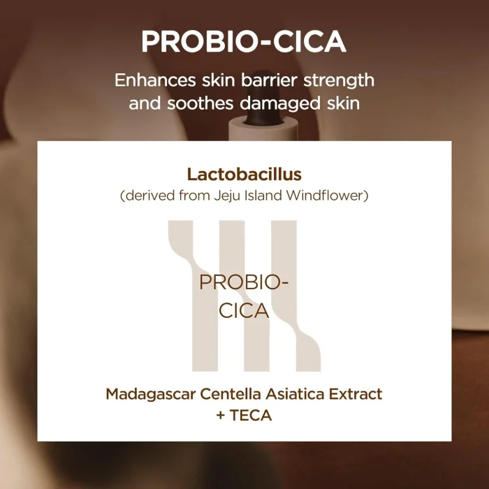 SKIN-1004-Madagascar-Centella-Probio-Cica-Intensive-Ampoule-5.webp