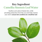 Dr.Althea-Green-Tea-Fresh-Sunscreen-4.webp