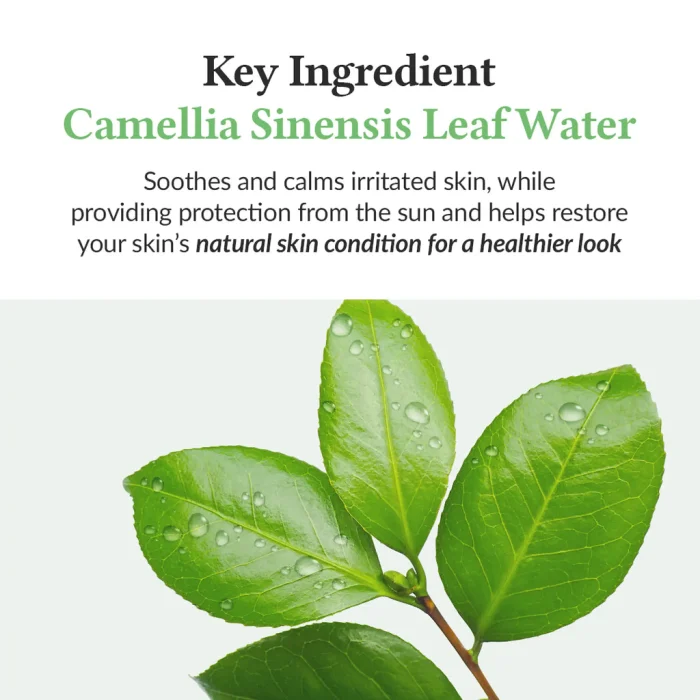 Dr.Althea-Green-Tea-Fresh-Sunscreen-4.webp