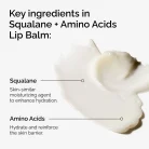 The-Ordinary-Squalane-Amino-Acids-Lip-Balm-3.webp